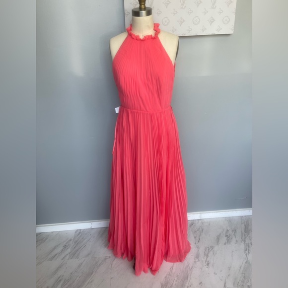 Fame and Partners Ciel Dress- mock neck pleat dress - Picture 2 of 11